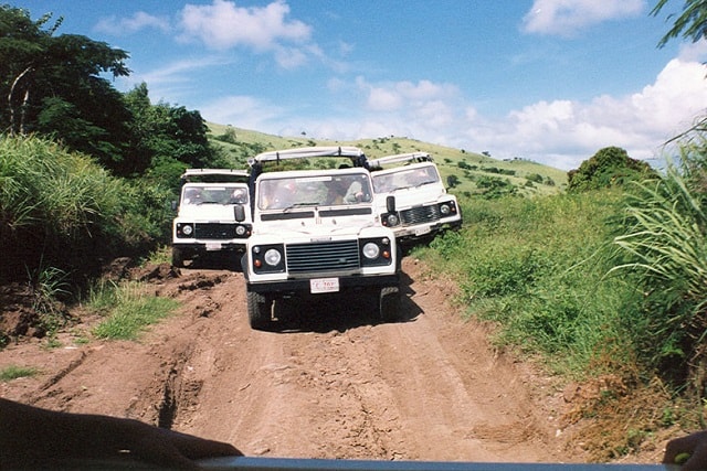 Safari Tour in Antigua