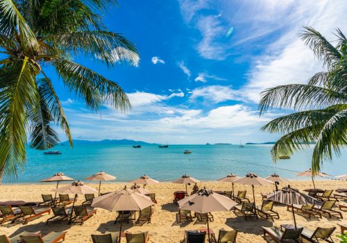 Discover the Caribbean Paradise: Tours in Antigua